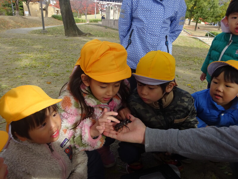 カブトムシさん、ばいばい