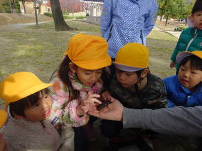  カブトムシさん、ばいばい