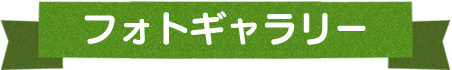 フォトギャラリー