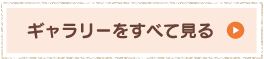 ギャラリーをすべて見る