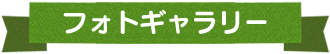 フォトギャラリー