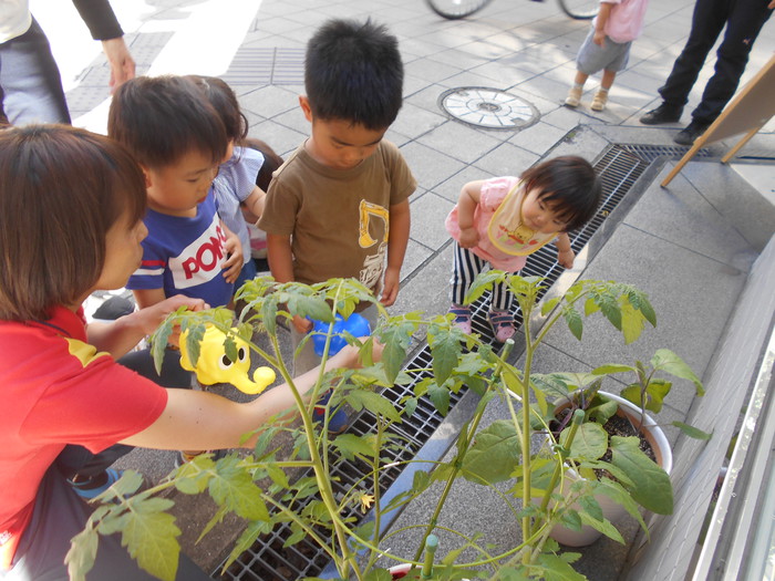 おおきくなってね。