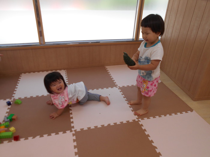 わたしのゴーヤよっ❣